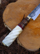 Língua de Chimango - Ferreiro Artesão